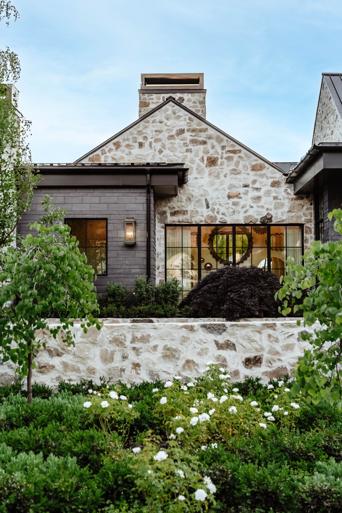 Modern Elm