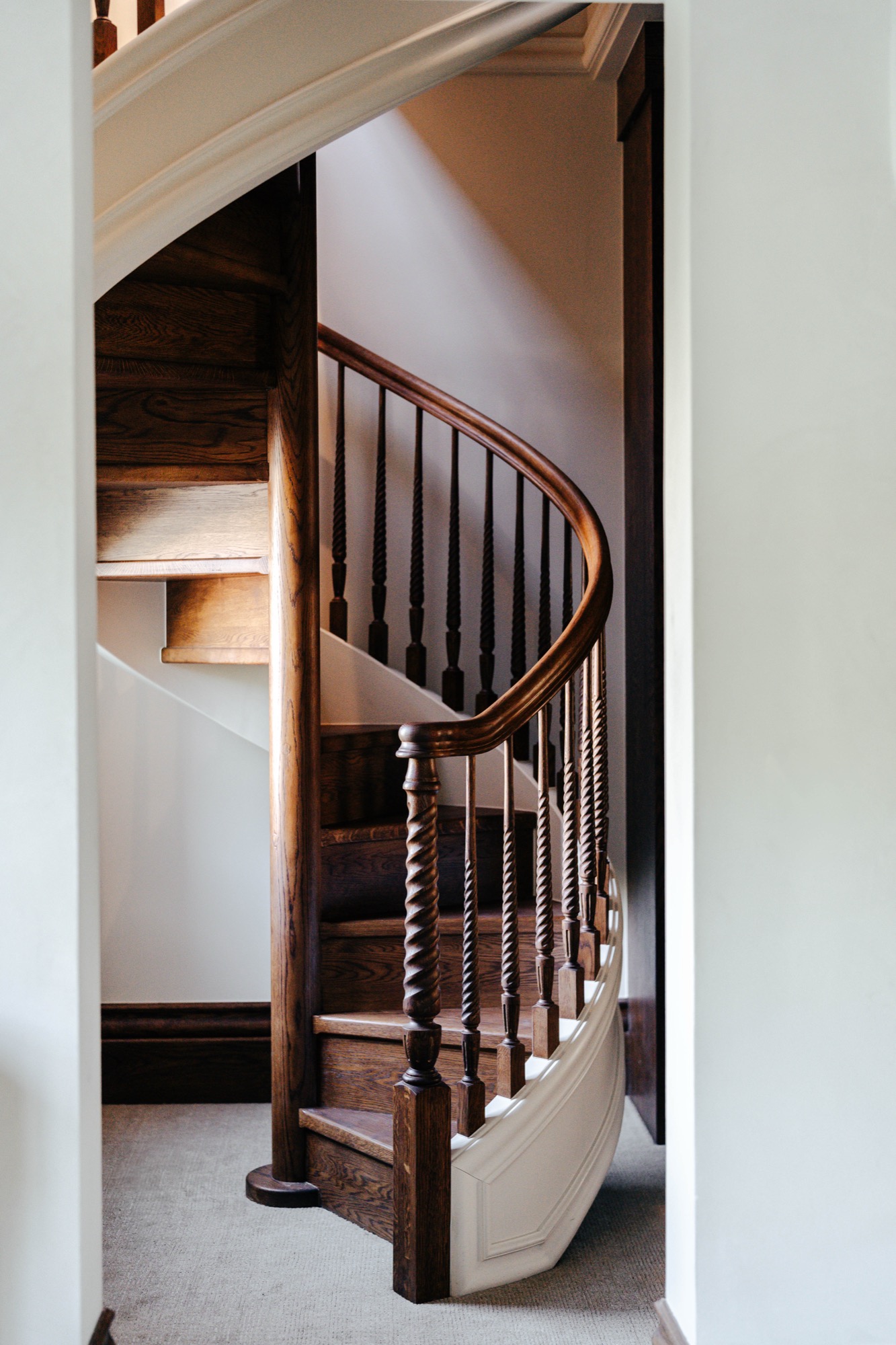 Modern Elm