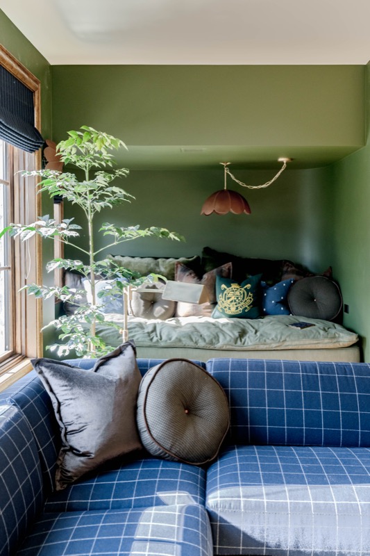 Modern Elm