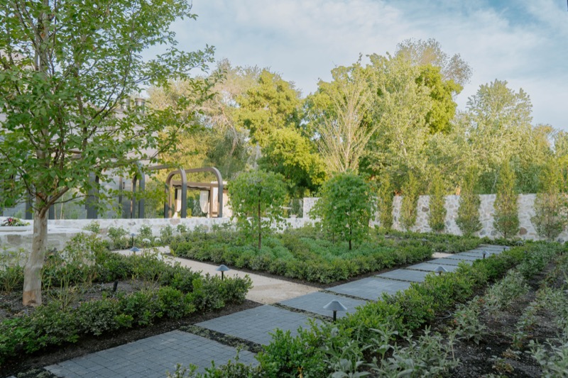 Modern Elm