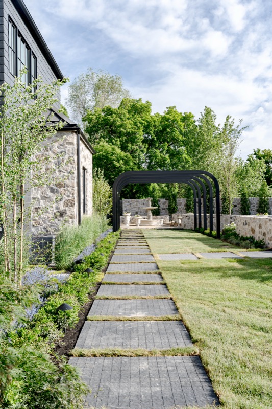 Modern Elm