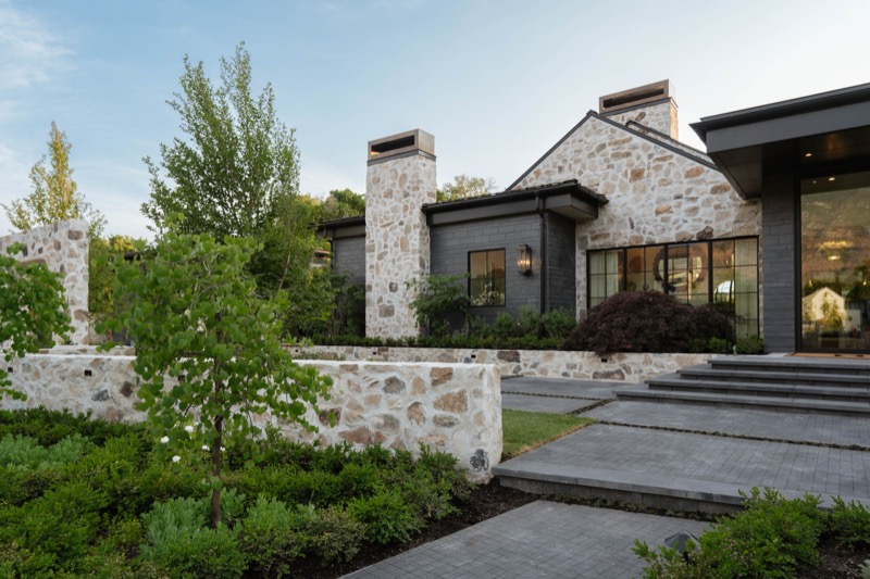Modern Elm