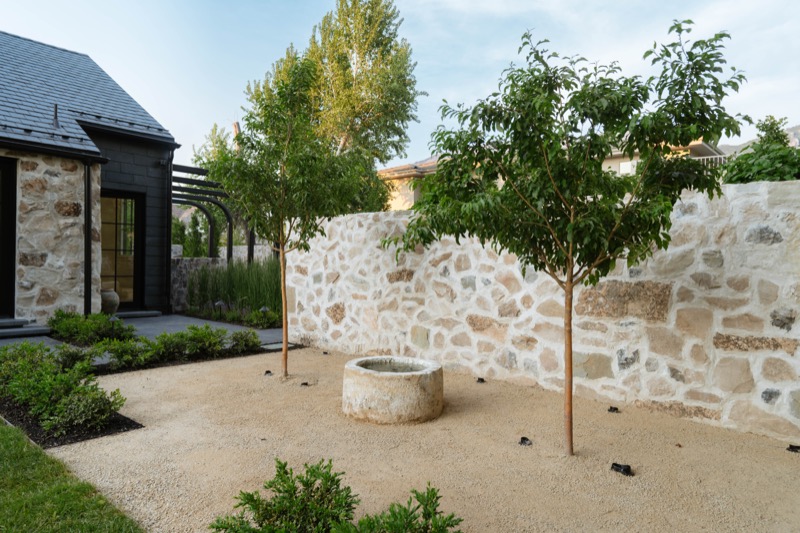 Modern Elm