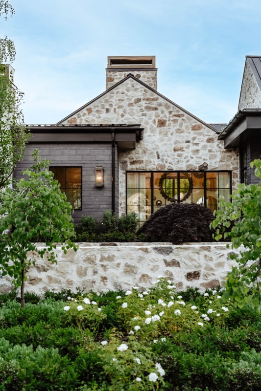 Modern Elm