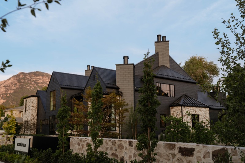 Modern Elm