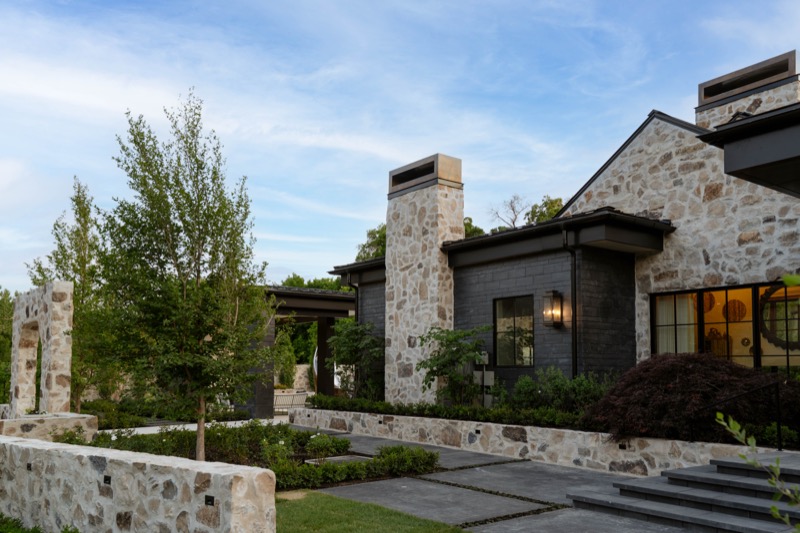 Modern Elm