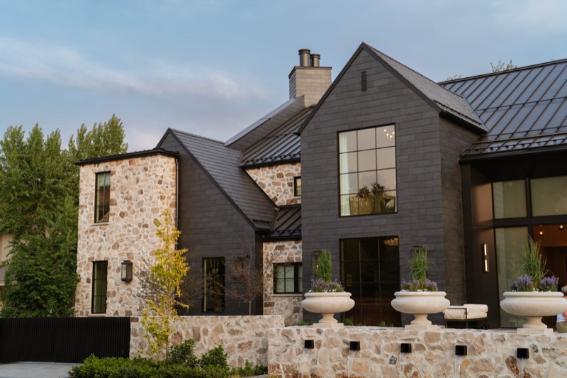Modern Elm