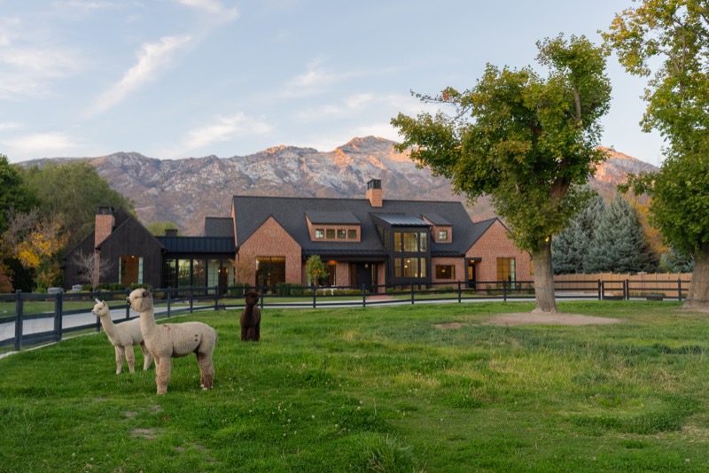 Silo Creek Farm image 39